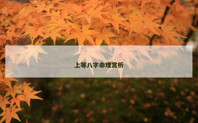 上等八字命理赏析