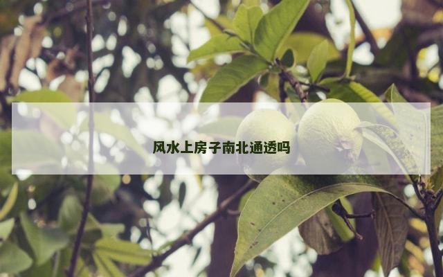 风水上房子南北通透吗