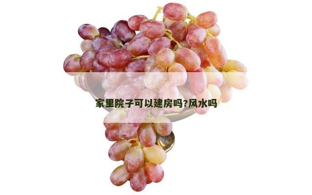 家里院子可以建房吗?风水吗