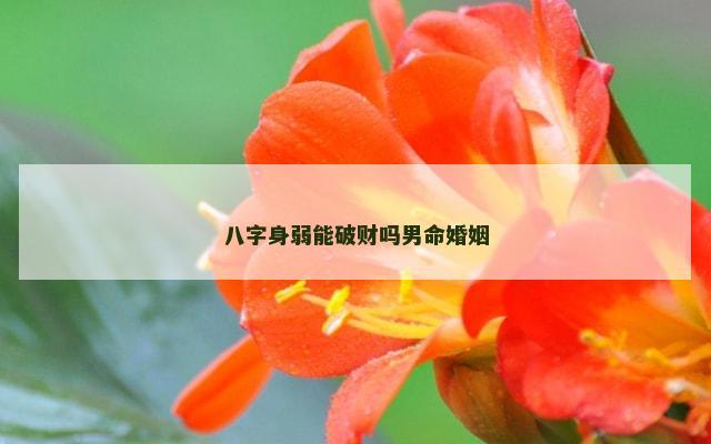 八字身弱能破财吗男命婚姻