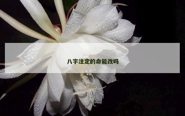 八字注定的命能改吗
