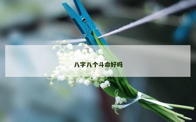 八字八个斗命好吗