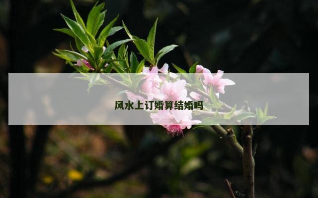 风水上订婚算结婚吗