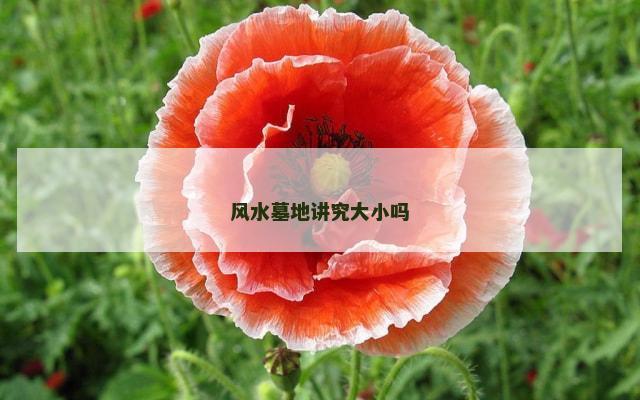 风水墓地讲究大小吗