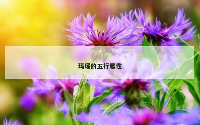 玛瑙的五行属性