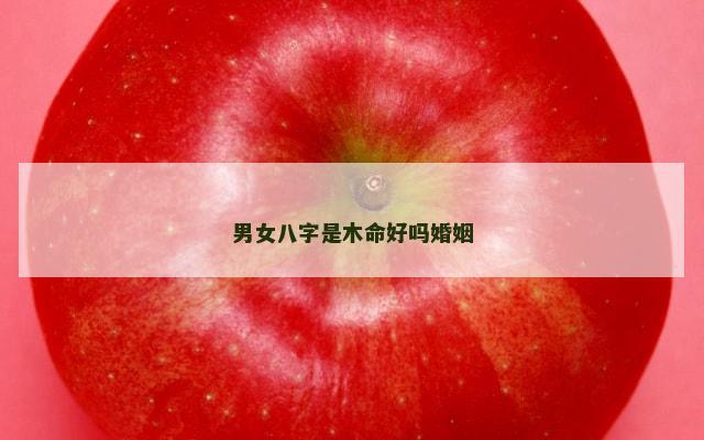男女八字是木命好吗婚姻