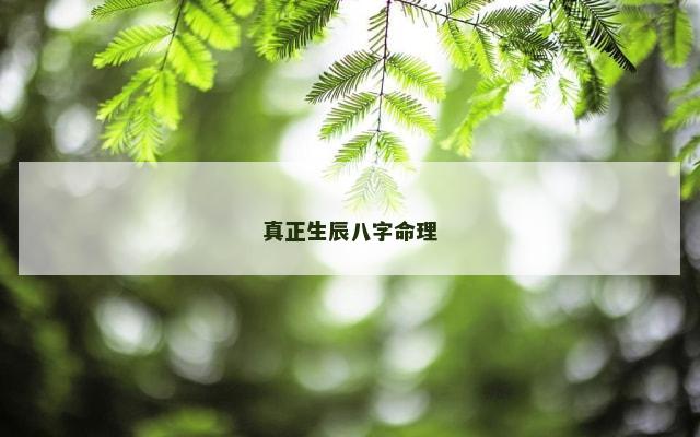 真正生辰八字命理