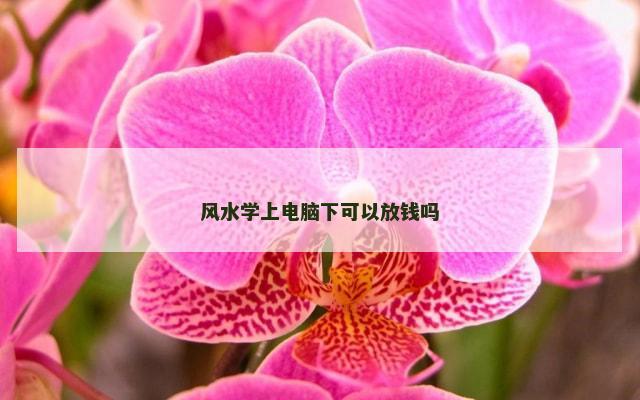 风水学上电脑下可以放钱吗