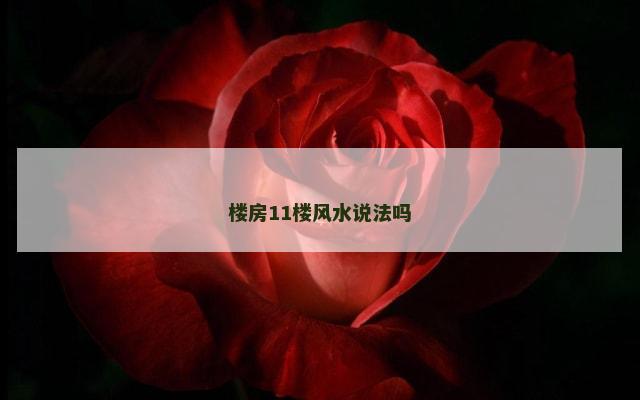 楼房11楼风水说法吗