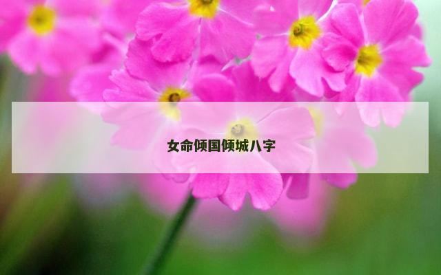 女命倾国倾城八字