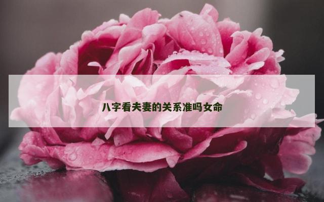八字看夫妻的关系准吗女命