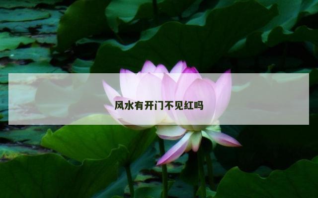 风水有开门不见红吗
