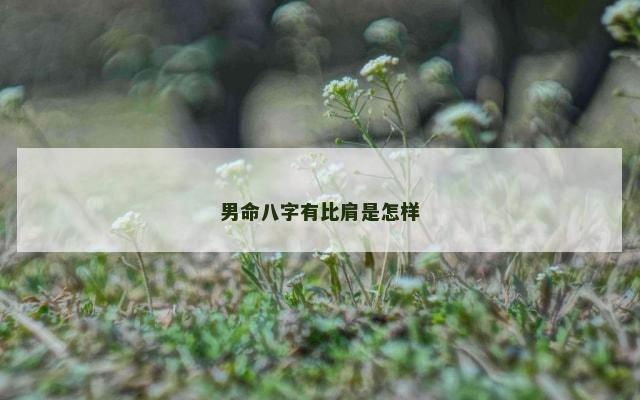 男命八字有比肩是怎样