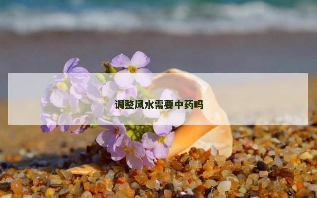 调整风水需要中药吗