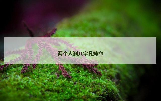 两个人测八字兄妹命