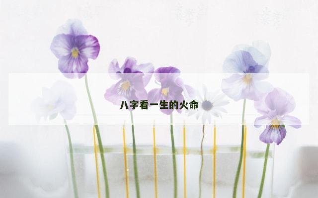 八字看一生的火命