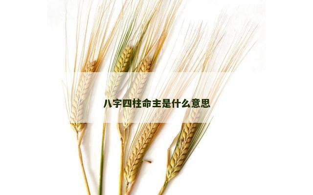 八字四柱命主是什么意思
