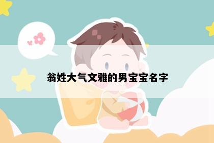 翁姓大气文雅的男宝宝名字