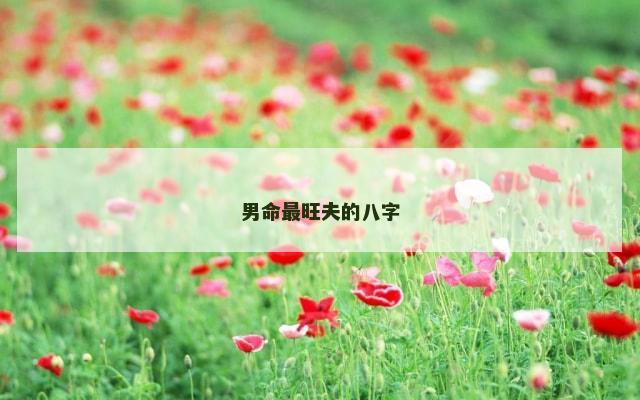 男命最旺夫的八字