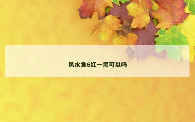风水鱼6红一黑可以吗
