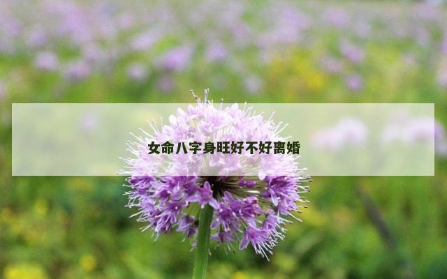 女命八字身旺好不好离婚