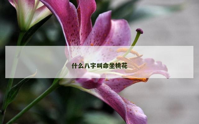 什么八字叫命坐桃花