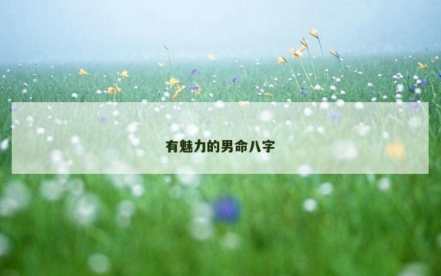 有魅力的男命八字