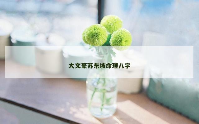 大文豪苏东坡命理八字
