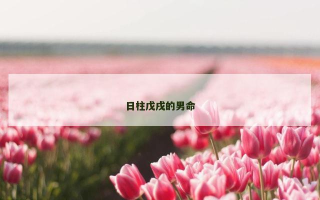 日柱戊戌的男命