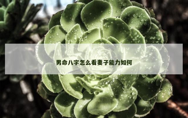 男命八字怎么看妻子能力如何