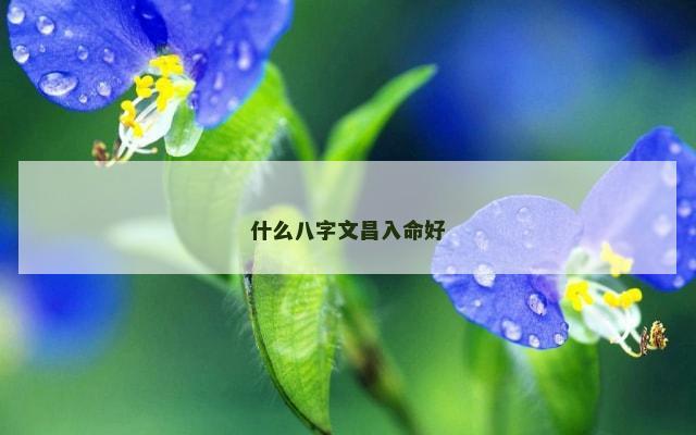 什么八字文昌入命好