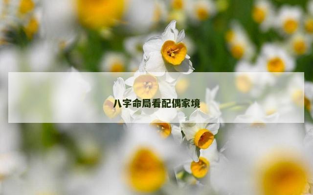 八字命局看配偶家境
