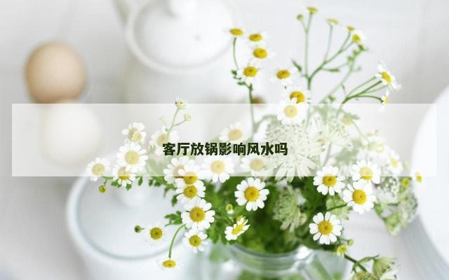 客厅放锅影响风水吗