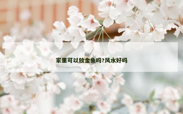 家里可以放金鱼吗?风水好吗
