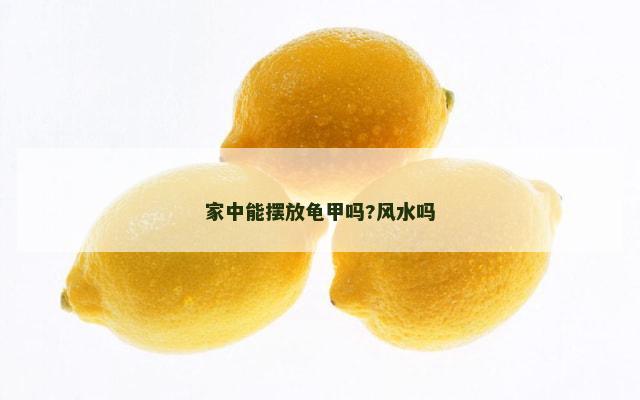 家中能摆放龟甲吗?风水吗