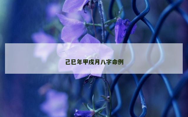 己巳年甲戌月八字命例