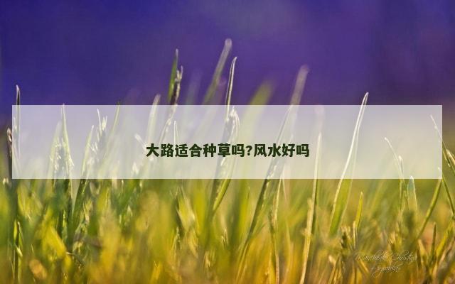 大路适合种草吗?风水好吗