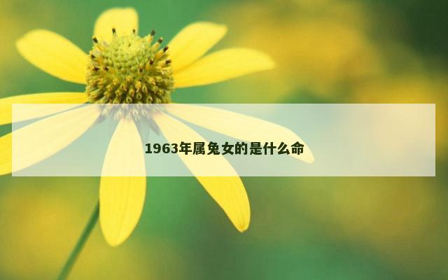 1963年属兔女的是什么命