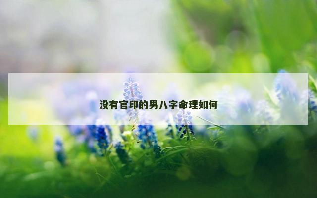 没有官印的男八字命理如何