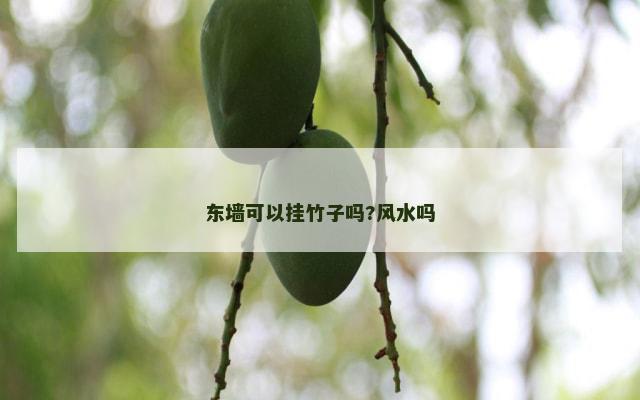东墙可以挂竹子吗?风水吗