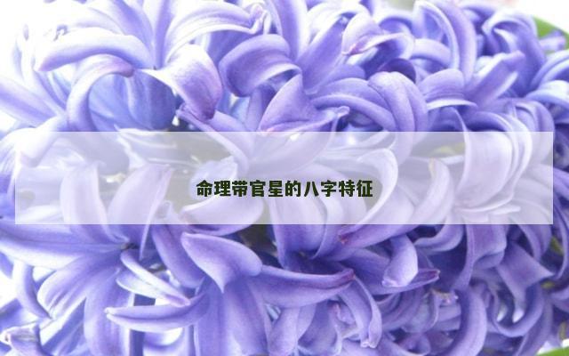 命理带官星的八字特征