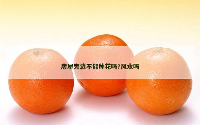 房屋旁边不能种花吗?风水吗