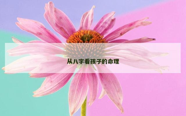 从八字看孩子的命理