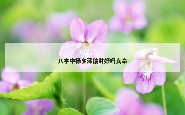八字中禄多藏偏财好吗女命