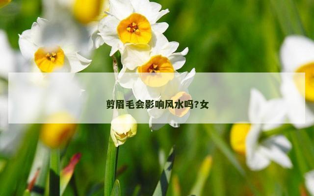 剪眉毛会影响风水吗?女