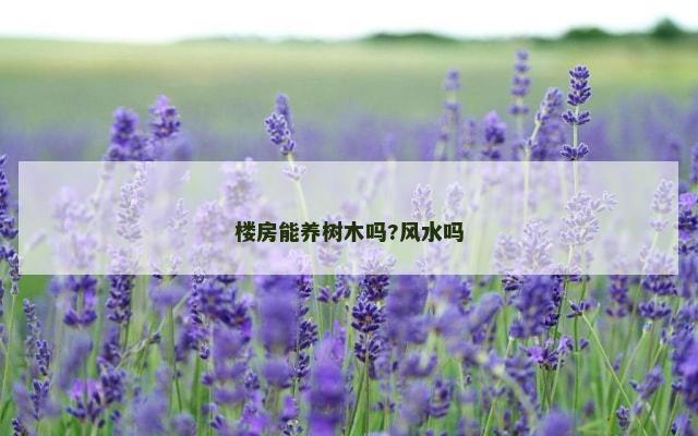 楼房能养树木吗?风水吗