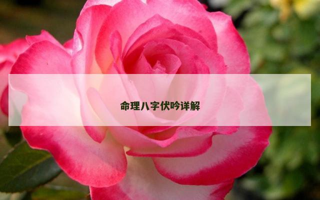 命理八字伏吟详解