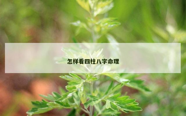 怎样看四柱八字命理