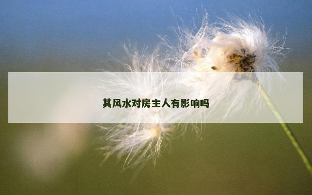 其风水对房主人有影响吗