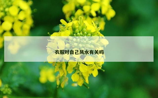 衣服对自己风水有关吗